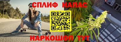 прущие грибы Пушкино